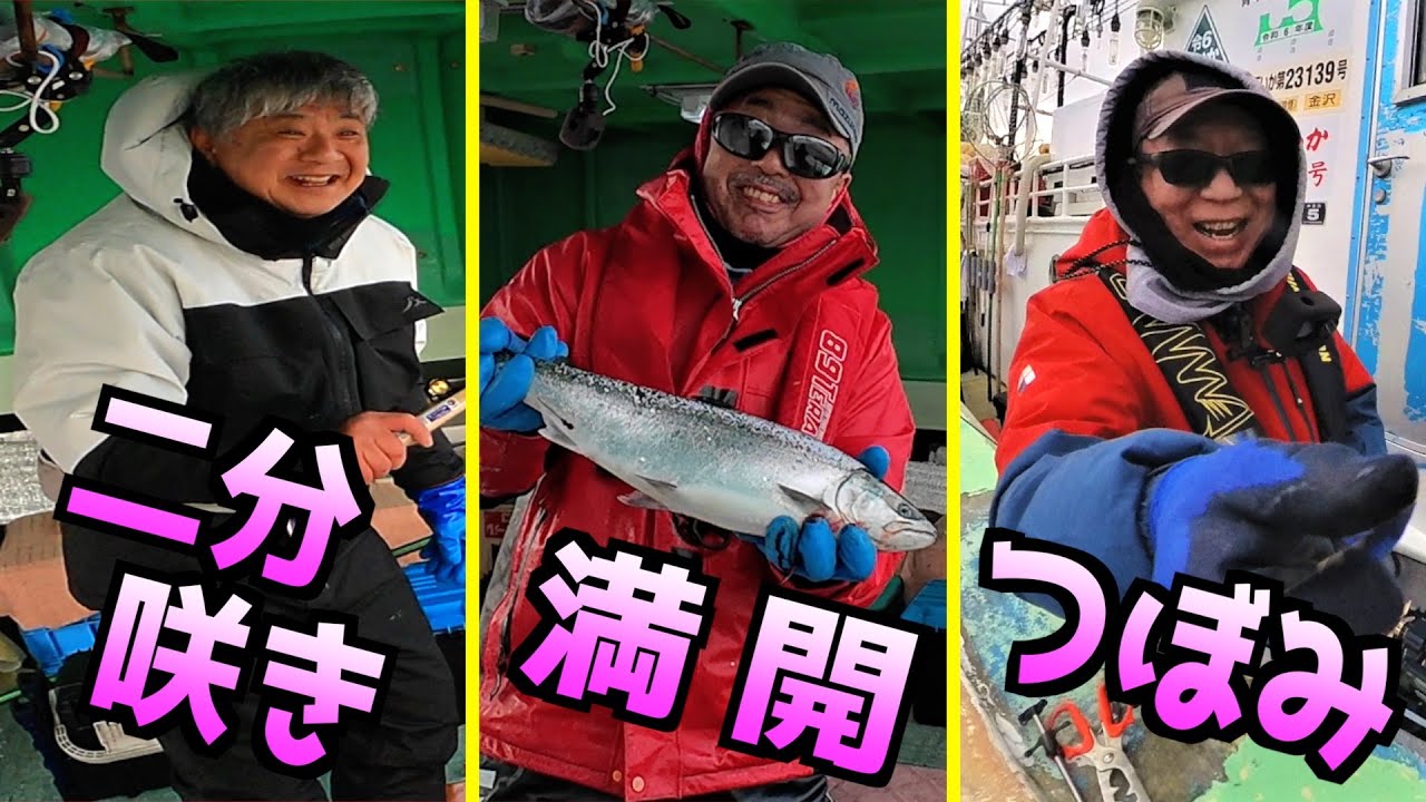 【桜鱒】サクラ前線、南下中🌸　一部の地域を除いて咲きました😀今後は各地でも咲き誇る予定です