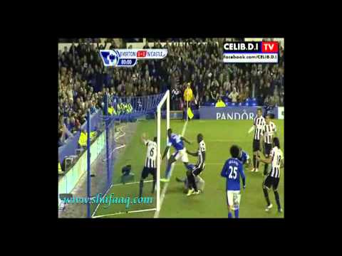 اهداف مباراة نيوكاسل وايفرتون 17 9 2012