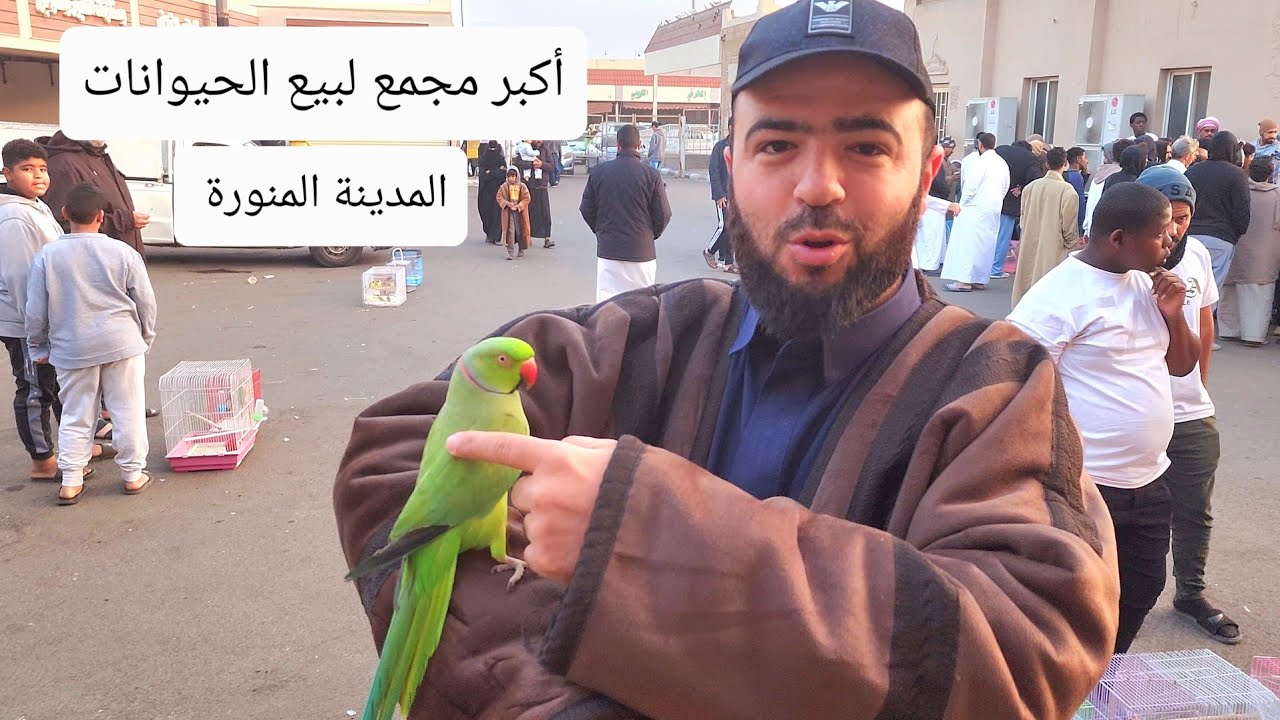 حراج الطيور والحيوانات بالمدينة المنورة ٥ رجب ١٤٤٤ هجرية