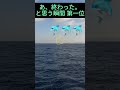 家に帰った方がいい選手権1位　#釣り