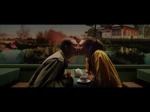 Gaspar Noé - A Tribute