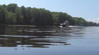 Florida Man Rides: What the Alligator sees.
