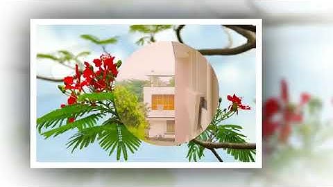 LÊ HỒNG PHONG TRONG TRÁI TIM TÔI  11A13 2017 2020