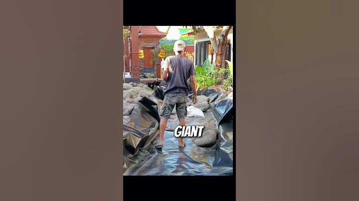 How to Build a River in Your Backyard with 200$ 🌊 #river #diy #process #shorts