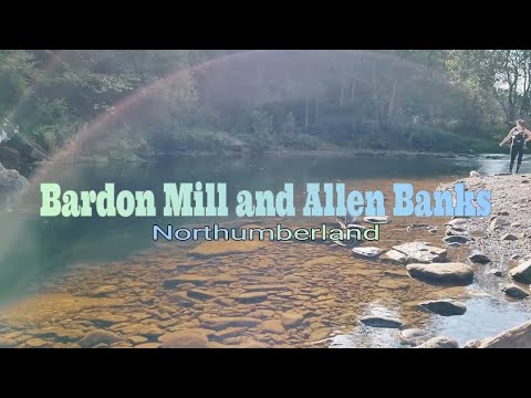 Walking on Bardon Mill and Allen Banks 👨‍🦯
