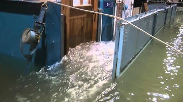 Manor Prime Wooden Flood Doors Tested at HR Wallingford 1