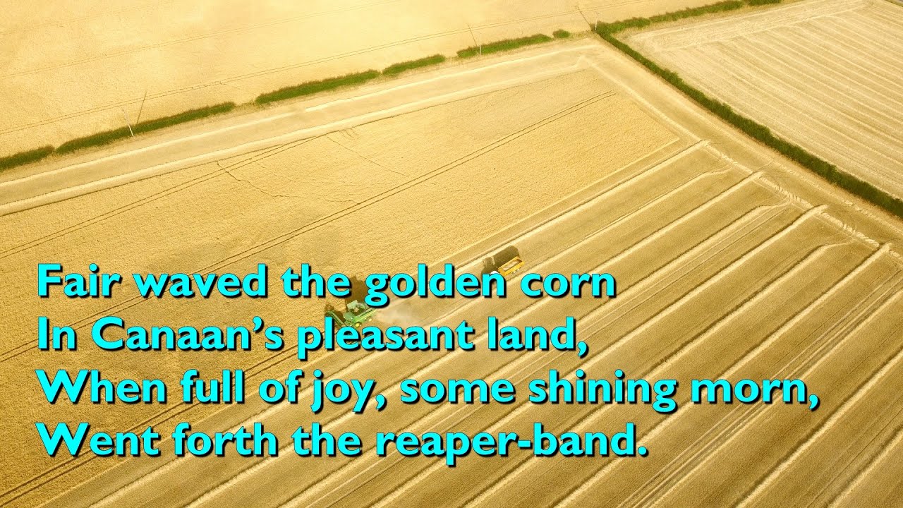 Fair Waved the Golden Corn (Tune Holyrood 5vv) [with lyrics for