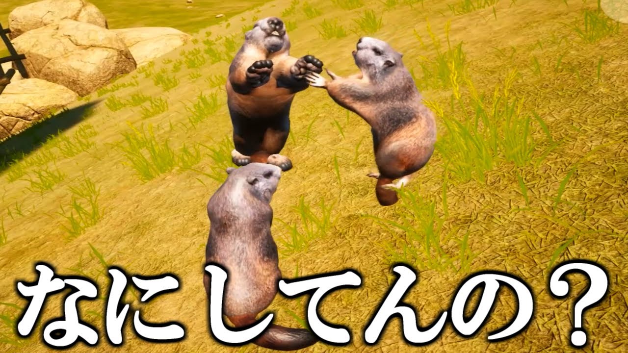 75円で買った「マーモットが殴り合うだけのゲーム」が酷すぎて笑ったｗｗｗ