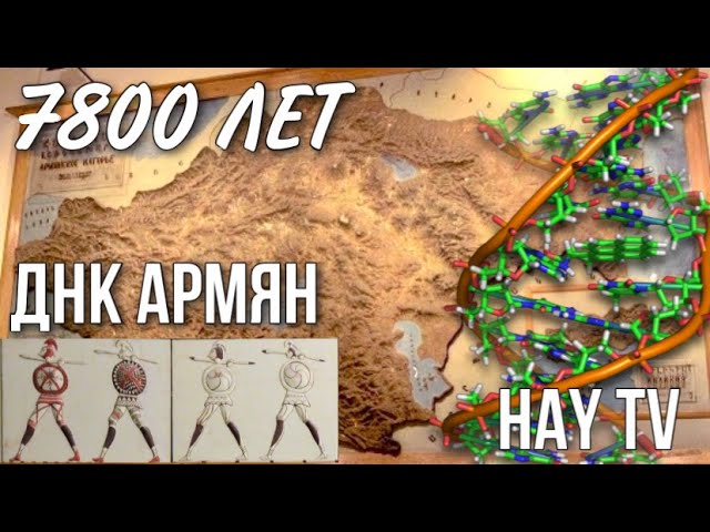 Новое ДНК исследование армян. Балканская теория отвергнута - YouTube