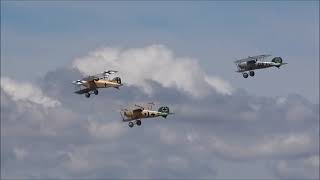 Albatros formation @aviationvideosarchivespart7582