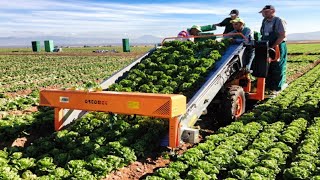 The coolest Machines that Make Modern Farming More Productive