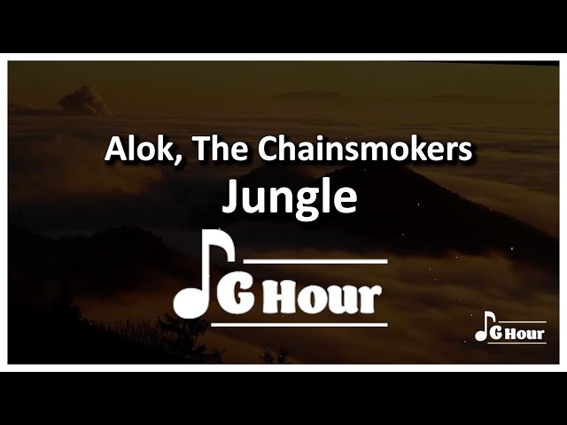 Alok, The Chainsmokers u0026 Mae Stephens - Jungle 1 Hour loop lyrics class=