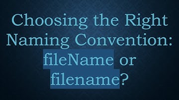 Choosing the Right Naming Convention: fileName or filename?
