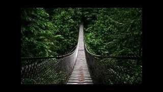 Forest Hymn - Deep Forest