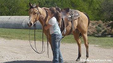 Cat Olena Too***For info, price, etc., go to our website*** Valley View Ranch