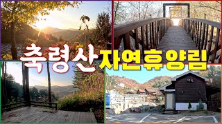 축령산자연휴양림 전망대 영상