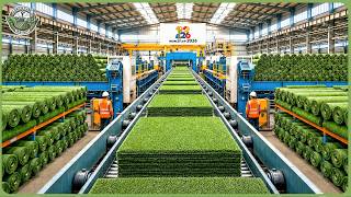 How Artificial Football Grass Is Made – 7.5 Million Square Feet Produced for World Cup 2026