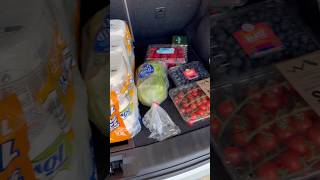 Sams Club miniature haul @LivingGratefully