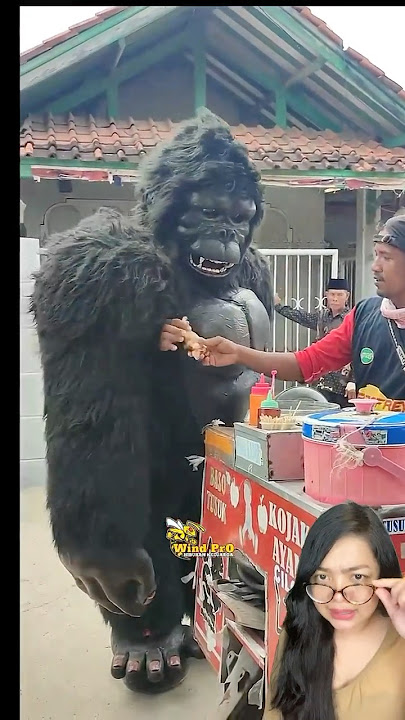 GORILLA BELI CILOK? HAHA 🤣 ‼️ #gorilla #cilok #dubbing #dubber #stitch #greenscreen