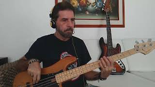 Steely Dan-  Time Out Of Mind - Bass Cover