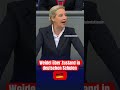 Alice Weidel AFD über Zustand in deutschen Schulen #afd #bundestag #politik