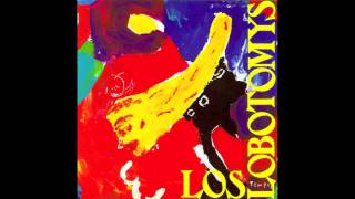 Little wing - Los lobotomys chords