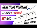 Svtbac gntique humaine analyse des rsultats dlectrophorse dadn  exercice 5  corrig