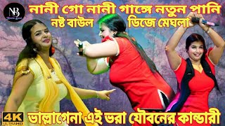 Nani Go Nani O Nani  ।। নানীগো নানী ও নানী ।। নষ্ট বাউল ।। ডিজে মেঘলা