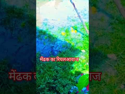 #youtubeshorts #song #yashomatimaiyasebolenandlala #video