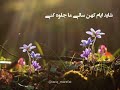 شعر خوانی صابر خراسانی برای امام زمان