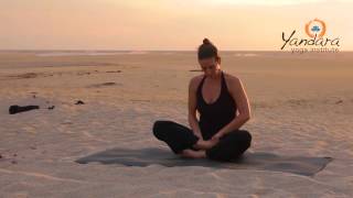 Siddhasana | Perfect Pose or Accomplished Pose by Allison Eaton Siddhasana How To Do It Correctly Chakra Stimulation Purify Nadis Accomplished Pose