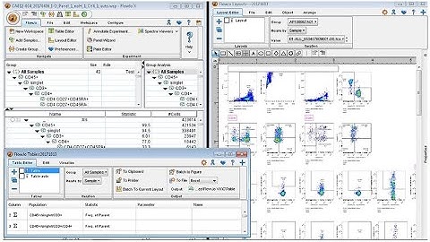 Install FlowJo 10.8.1 x64 v2022 | USB Dongle method