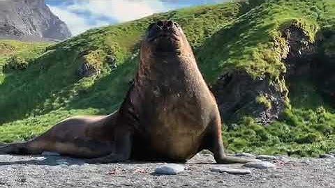 Shot on iPhone XS — Don’t mess with Mother — Apple