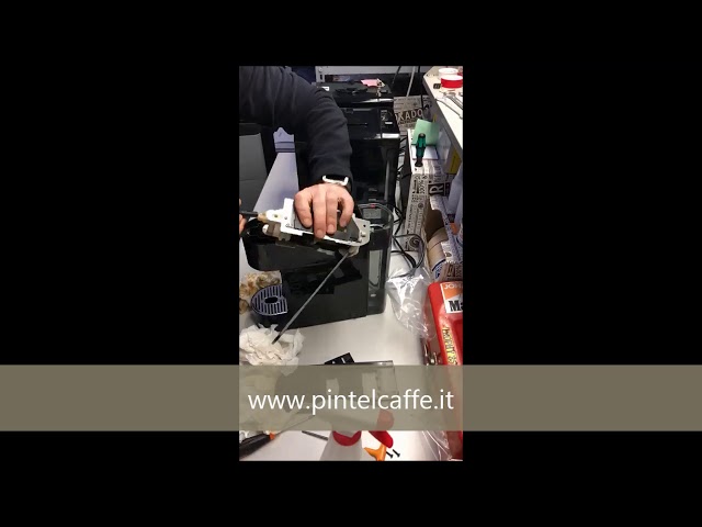 video TATA