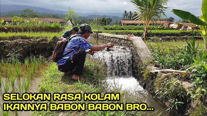 Mancing di Selokan Rasa Kolam Ikannya Besar besar #LM06