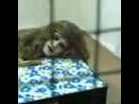 Oyoq tik turgan jinsiy aloqa