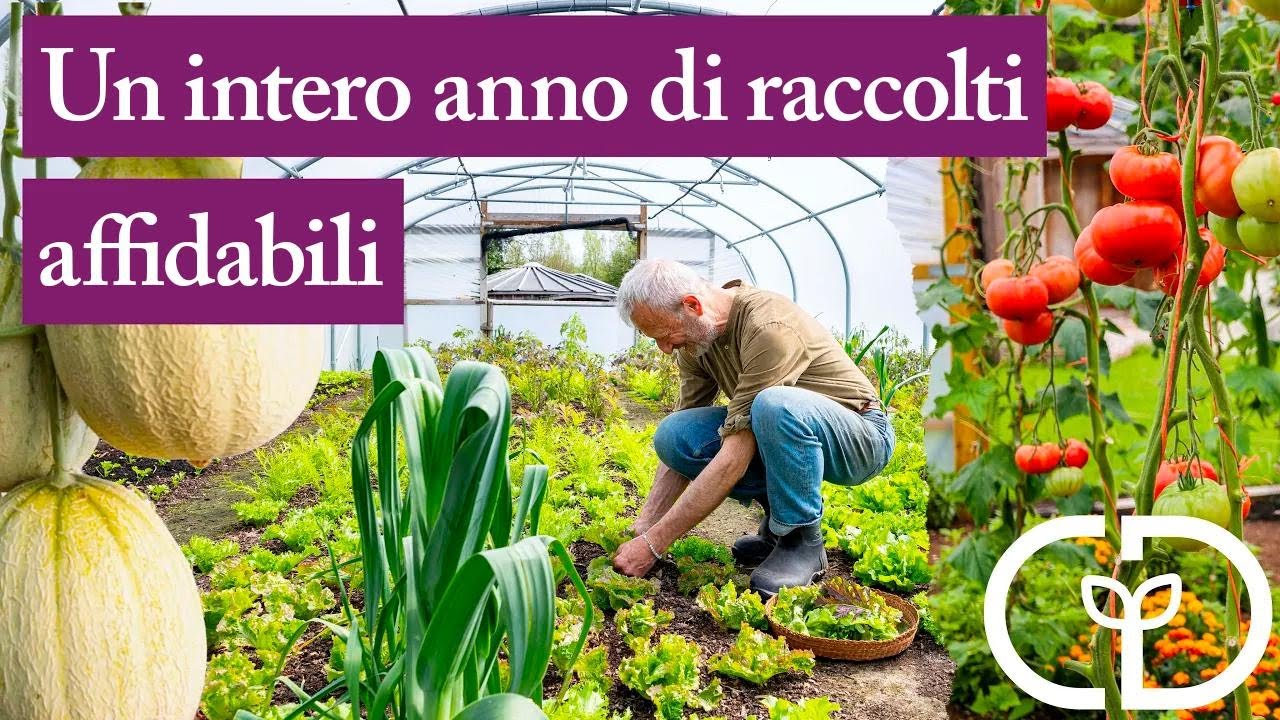 Le migliori serre per coltivare ortaggi in inverno e in estate - YouTube