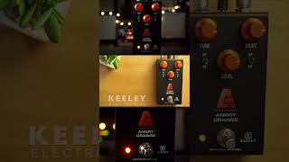 Keeley Electronics Angry Orange Overdrive Fuzz #guitar #guitarpedals #pedalboard #pedaldemo