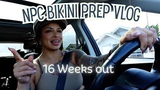 NPC Bikini Prep Series | 16 weeks out