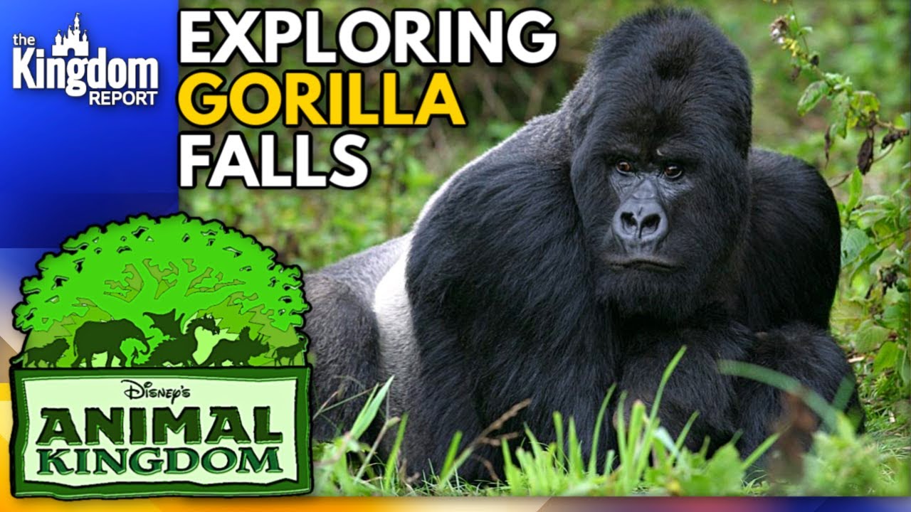 gorilla trek disney world