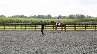 Linda Murphy // Riding Instruction Showreel - Flatwork
