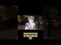 #Looksmaxing Don #DillonLatham gets #attacked with flour while #livestreaming #irl