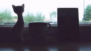 Kaan Boşnak - Şeyhim Beni Işınla