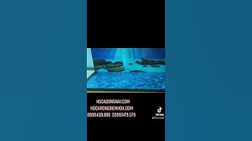 Hồ cá rồng 1m76 lắp đặt tại Biên Hoà đồng Nai