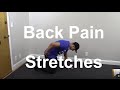 Back Pain Exercises and Stretches