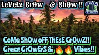 SiCkEst Gr0w & ShOw on YouTube! WheRe GroWers & GroWmies LiNk uP To ShaRe Kn0wLeDgE & BeCoMe BeTTeR!