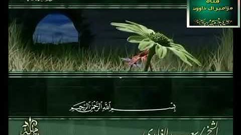 اجمل تلاوة بصوت الشيخ سعد الغامدي سورة الجمعة