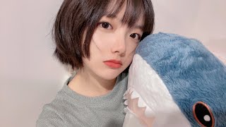 【Sakuragun Vlog】I really like Ikea Shark!