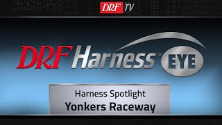 DRF Harness Spotlight - March 22-23, 2019
