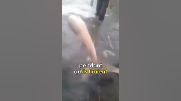 Des pêcheurs Ont retrouvés une vraie Sirène dans l'eau !